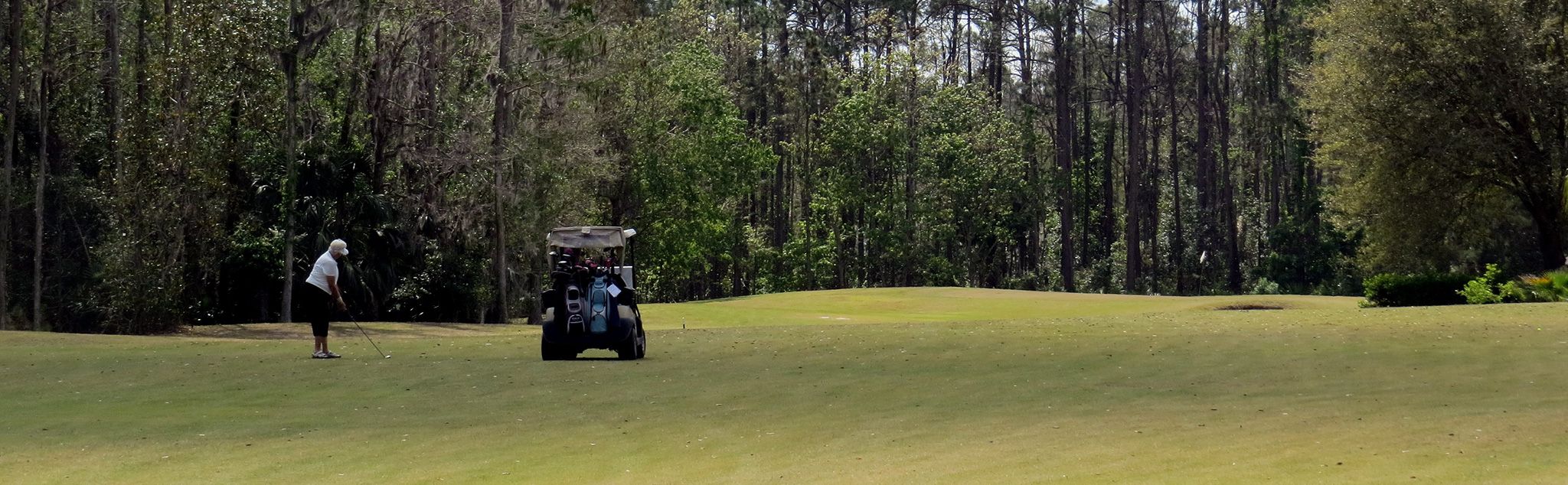 Cypress Knoll Golf Course Palm Coast, FL